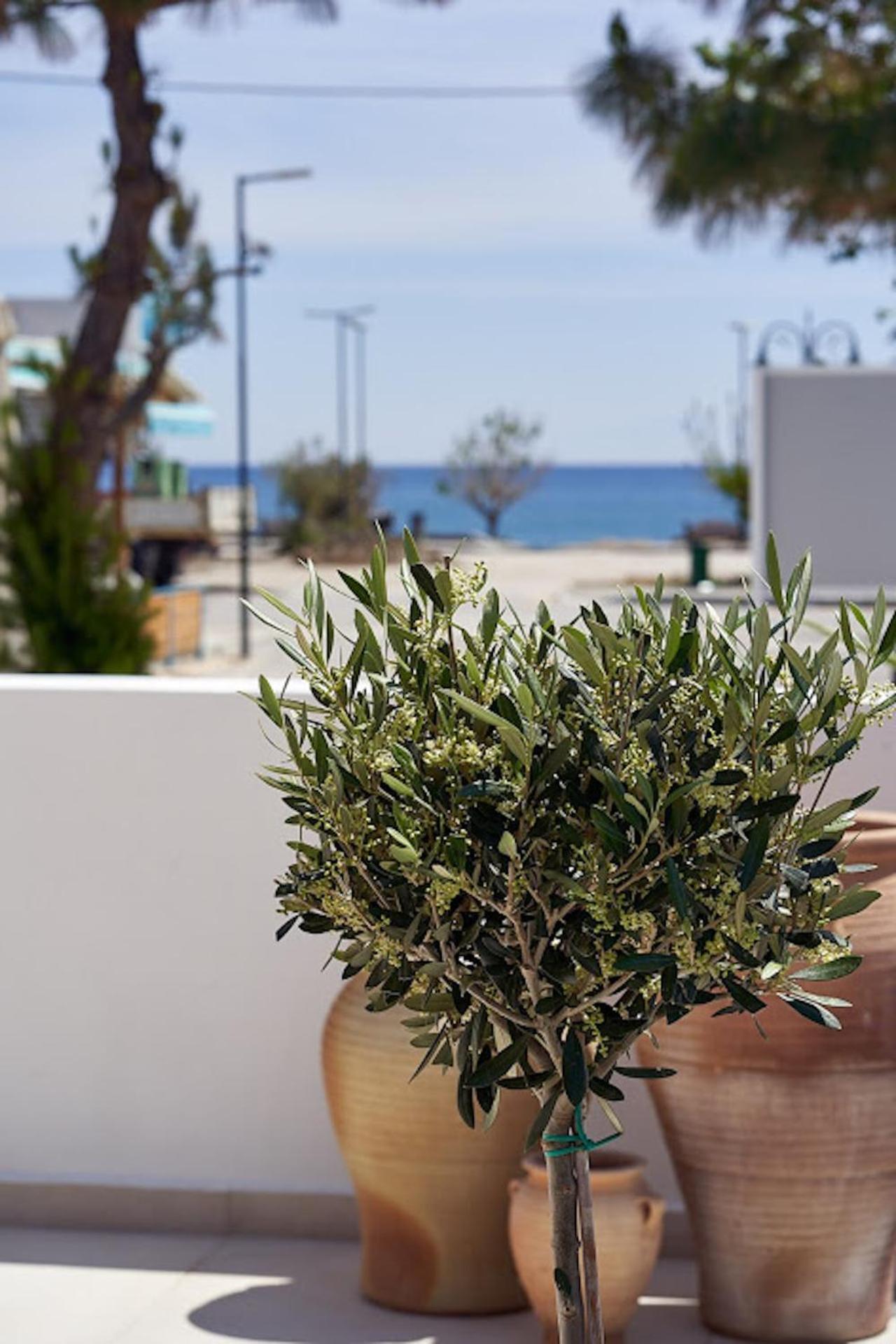 Sia Mare Seaside Apartments Faliraki Rom bilde